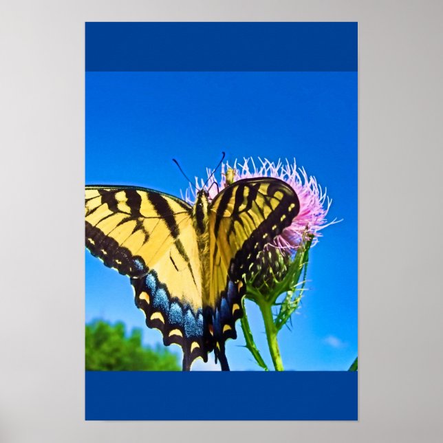 Póster Alas de amor (Frente)