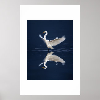 Póster Alas de encaje en azul