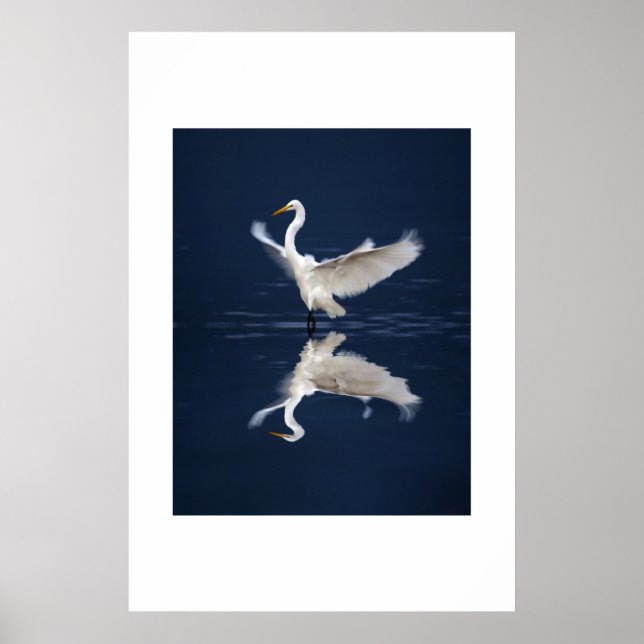 Póster Alas de encaje en azul (Frente)