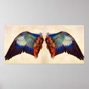 PÓSTER ALAS DE UN ROLLER EUROPEO