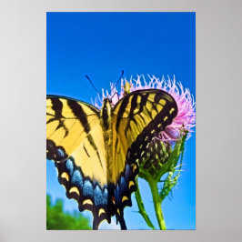 Póster Alas del Poster del amor