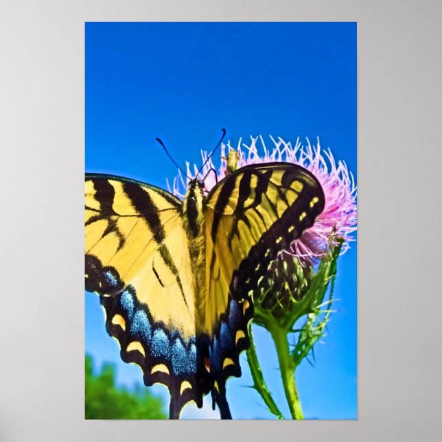 Póster Alas del Poster del amor (Frente)