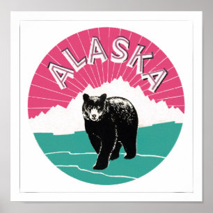 Póster Alaska