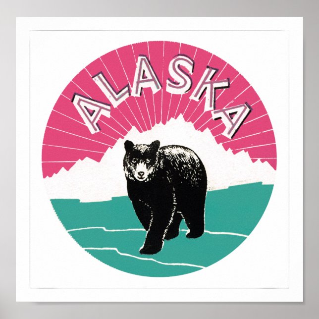 Póster Alaska (Frente)