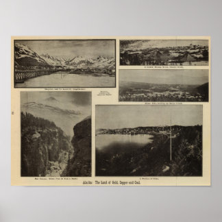 Póster Alaska 7