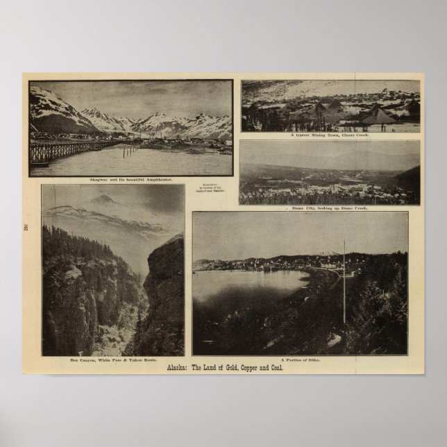 Póster Alaska 7 (Frente)