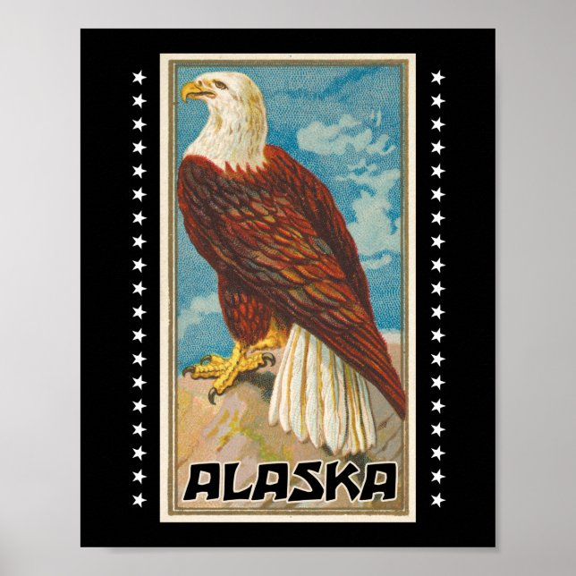 Póster Alaska - Águila calva vintage (Frente)