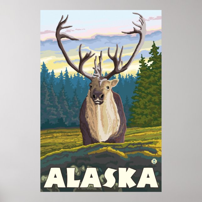 Póster Alaska - Caribou en el Wild (Frente)