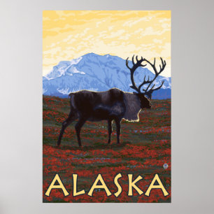 Póster Alaska - caribú