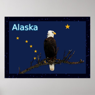 Póster Alaska Eagle And Flag