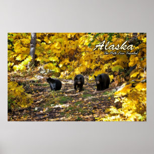 Póster Alaska El Camino Menos Viajado