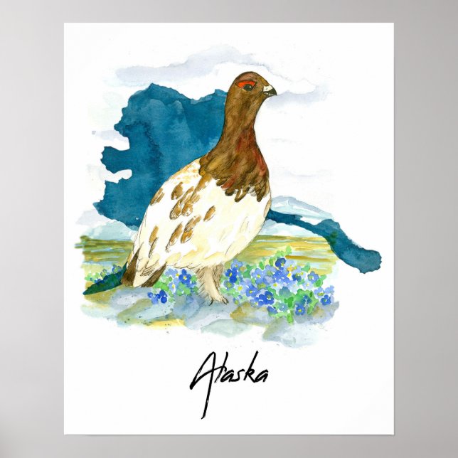 Póster Alaska Tundra Estado Pájaro Nomeolvides (Frente)