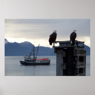 Póster "Alaskan Sunset" Poster