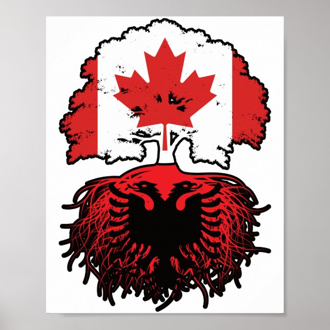 Póster Albania Bandera de raíces de árboles de Canadá de  (Frente)