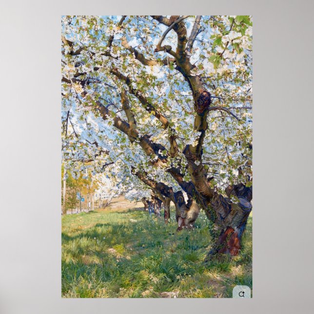 Póster Albaricoqueros en flor de Van Gogh (Frente)