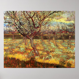Póster Albaricoqueros en Flor por Vincent van Gogh