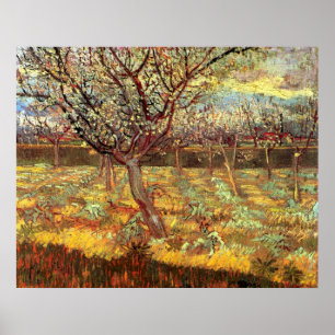 Póster Albaricoqueros en Flor por Vincent van Gogh