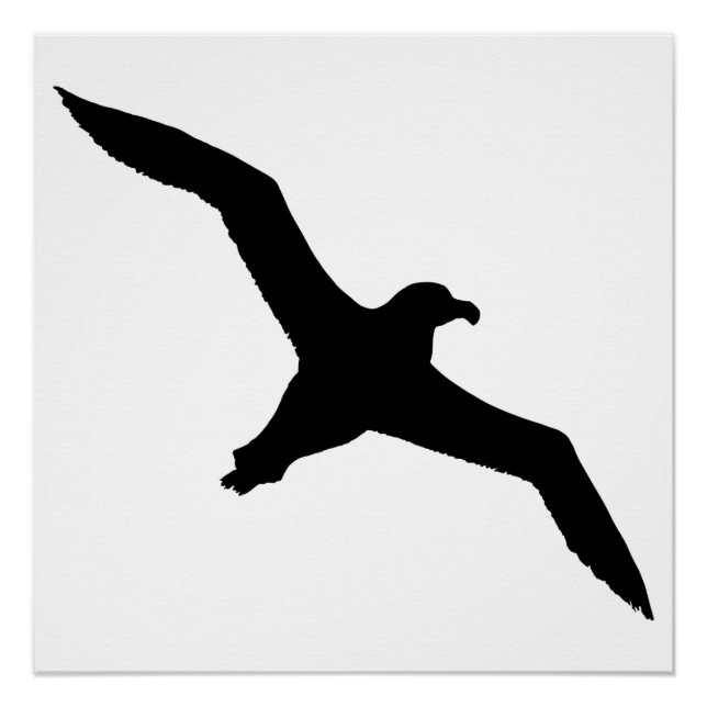 Póster Albatros (Anverso)