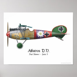 Póster Albatros D.V. ww1 Avie Bäumer