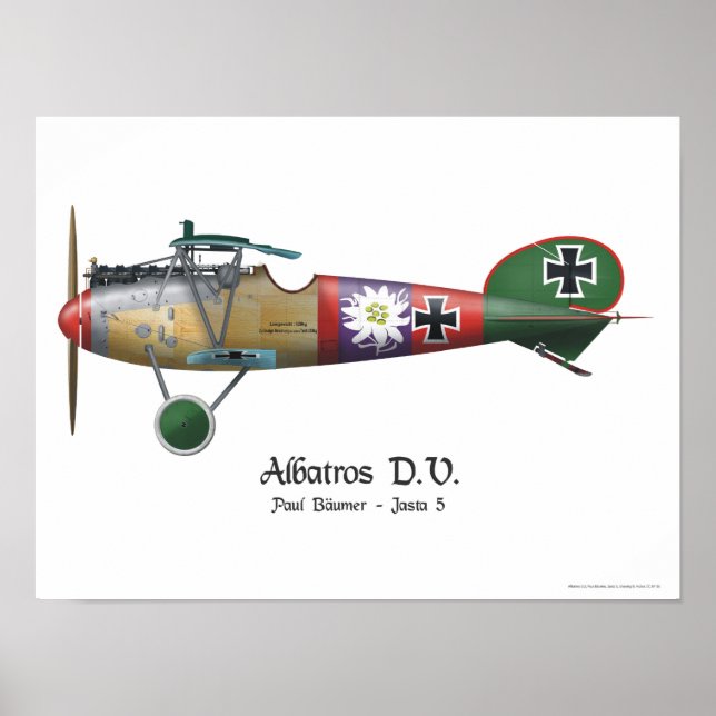 Póster Albatros D.V. ww1 Avie Bäumer (Frente)