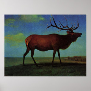 Póster Albert Bierstadt, Elk