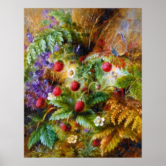 Póster Albert Dürer Lucas: Fresas silvestres y mariposa