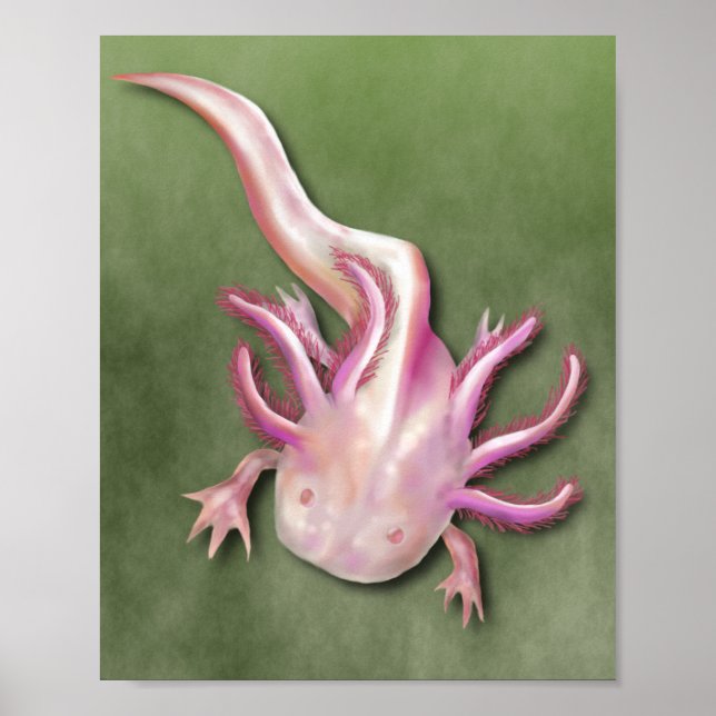 Póster Albino Axolotl "Walking Fish" Art (Frente)