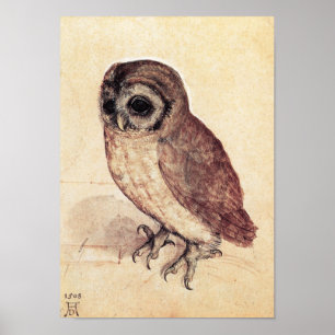 Póster Albrecht Durer El Pequeño Poster De Lechuza