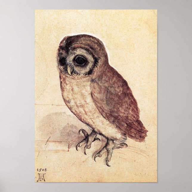Póster Albrecht Durer El Pequeño Poster De Lechuza (Frente)