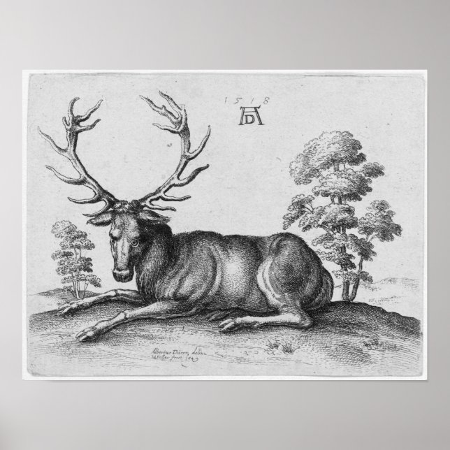 Póster Albrecht Durer Engraving Stag Deer (Frente)