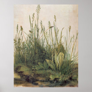 Póster Albrecht Durer Great Piece of Turf