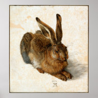 ALBRECHT DÜRER - Joven liebre 1502