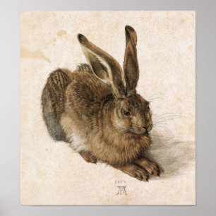 Póster Albrecht Dürer - Junger Hase (liebre joven), 1502