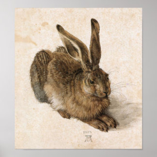 Póster Albrecht Dürer - Junger Hase (Young Hare), 1502
