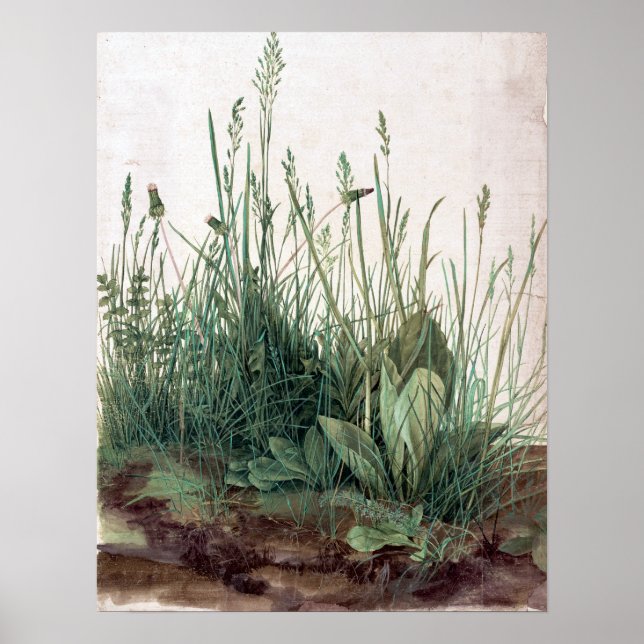 Póster Albrecht Dürer La gran pieza del turf (Frente)