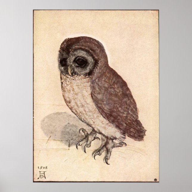 Póster Albrecht Durer Little Owl (Frente)