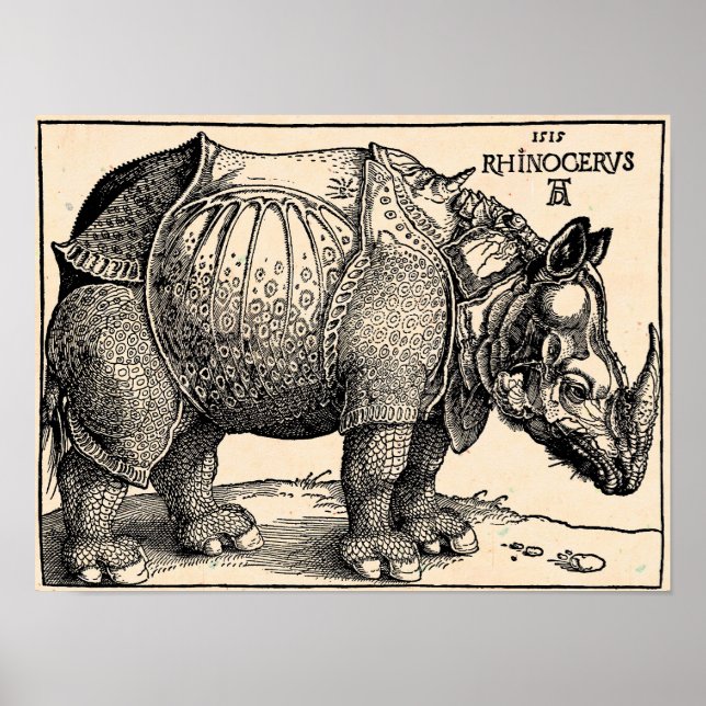 Póster Albrecht Dürer Rhinoceros (Frente)