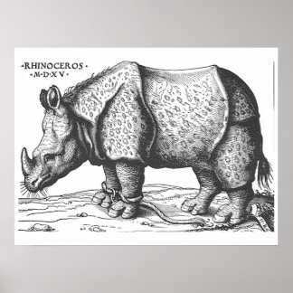 Póster Albrecht Durer - Rhinoceros