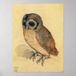 Póster Albrecht Durer The Little Owl