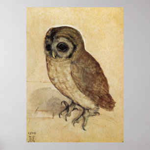 Póster Albrecht Durer The Little Owl