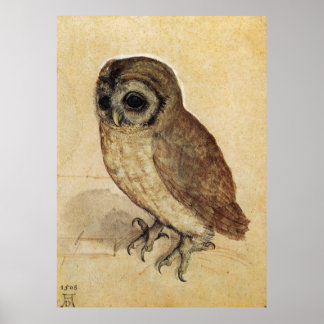 Póster Albrecht Durer The Little Owl