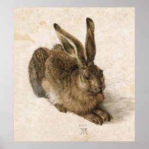 Póster Albrecht Durer Young Hare