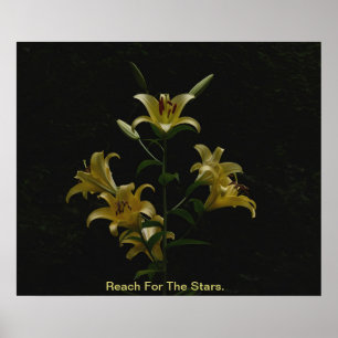 Póster Alcance De Las Estrellas