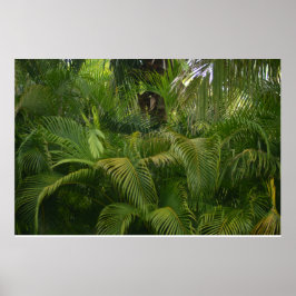 Póster Alcance suave