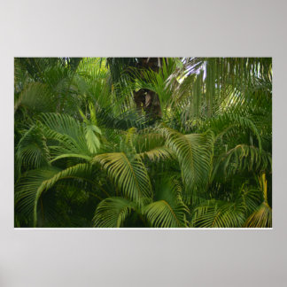 Póster Alcance suave