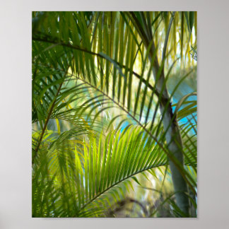 Póster Alcance suave