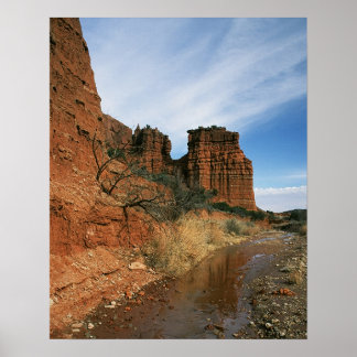 Póster Alcanzar el agua