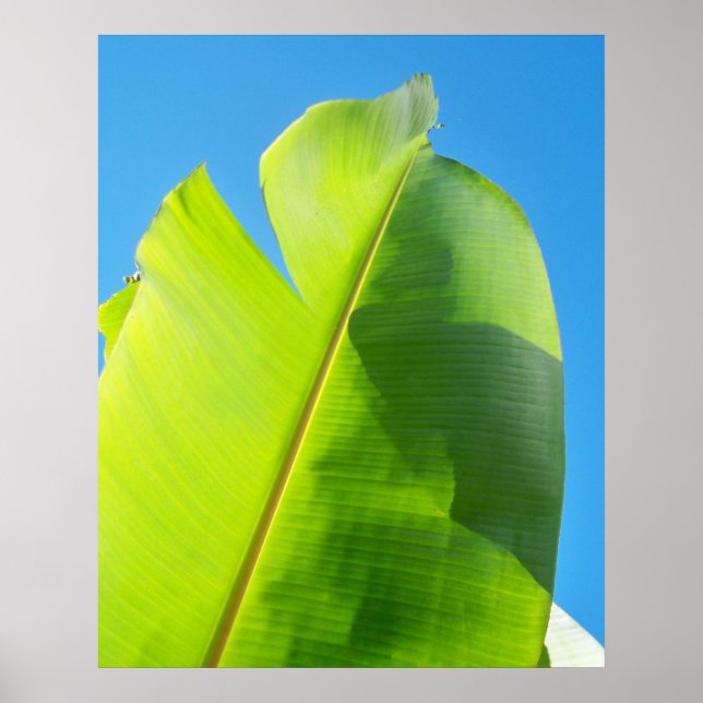 Póster Alcanzar el sol (Frente)