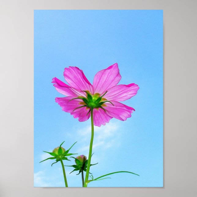 Póster Alcanzar la vida (Frente)