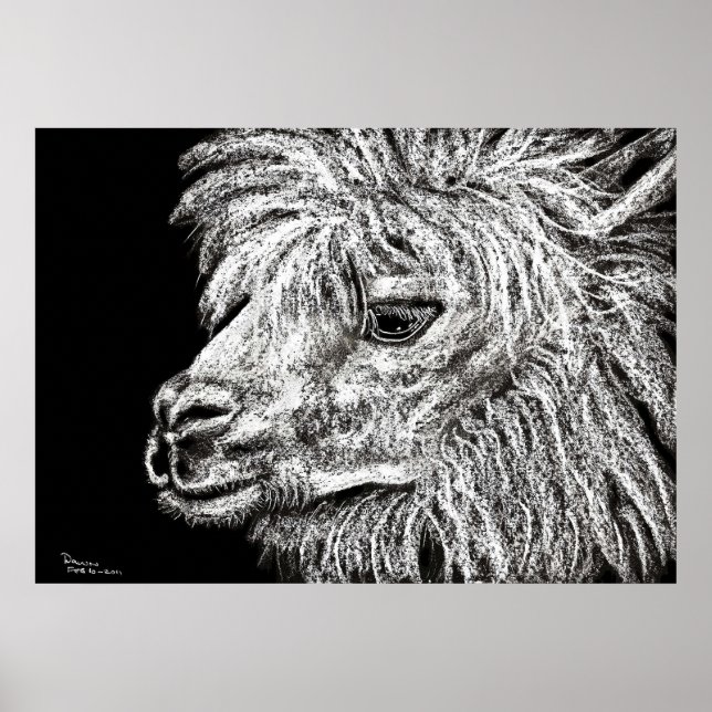 Póster alcapa (Frente)